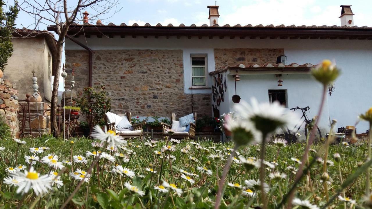 Il Colle Calci Villa Exteriör bild