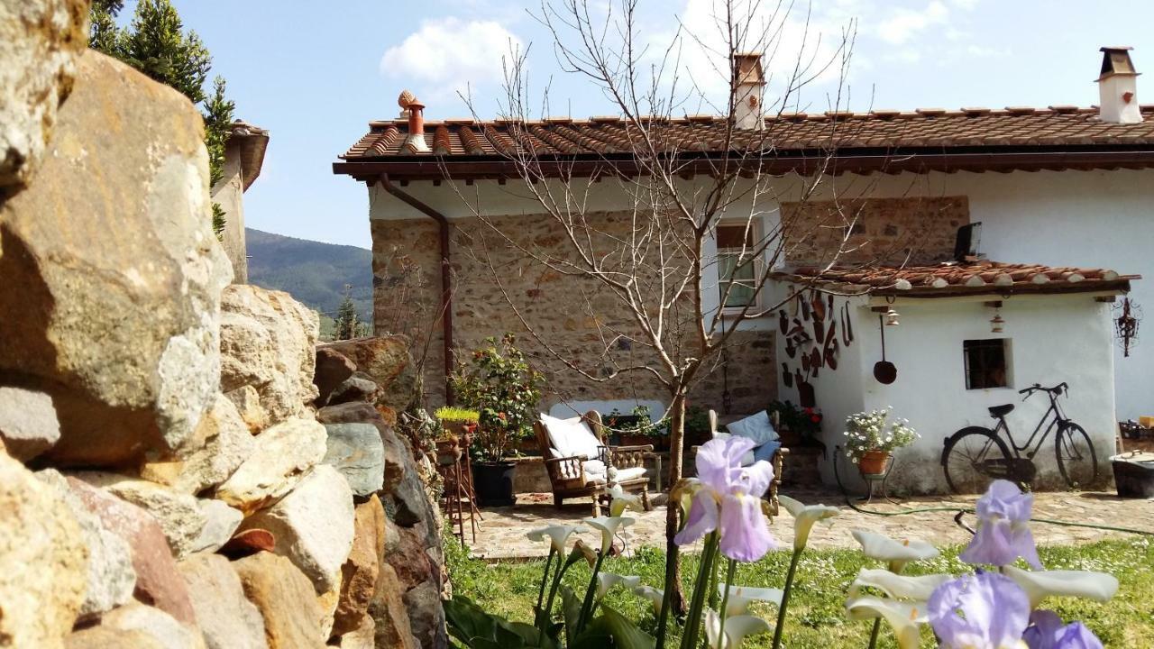 Il Colle Calci Villa Exteriör bild